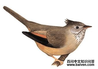 �ƺ����̵�ͼ��