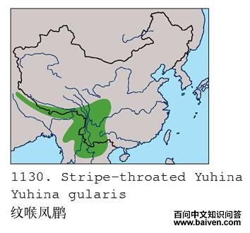 �ƺ����̵ĵ����ֲ�ͼ