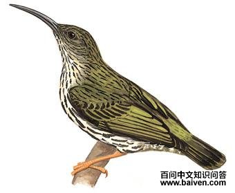 �Ʊ��������ͼ��