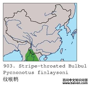 �ƺ��ǵĵ����ֲ�ͼ