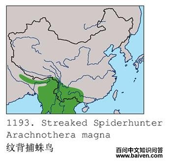 �Ʊ�������ĵ����ֲ�ͼ