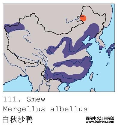 ����ɳѼ�ĵ����ֲ�ͼ