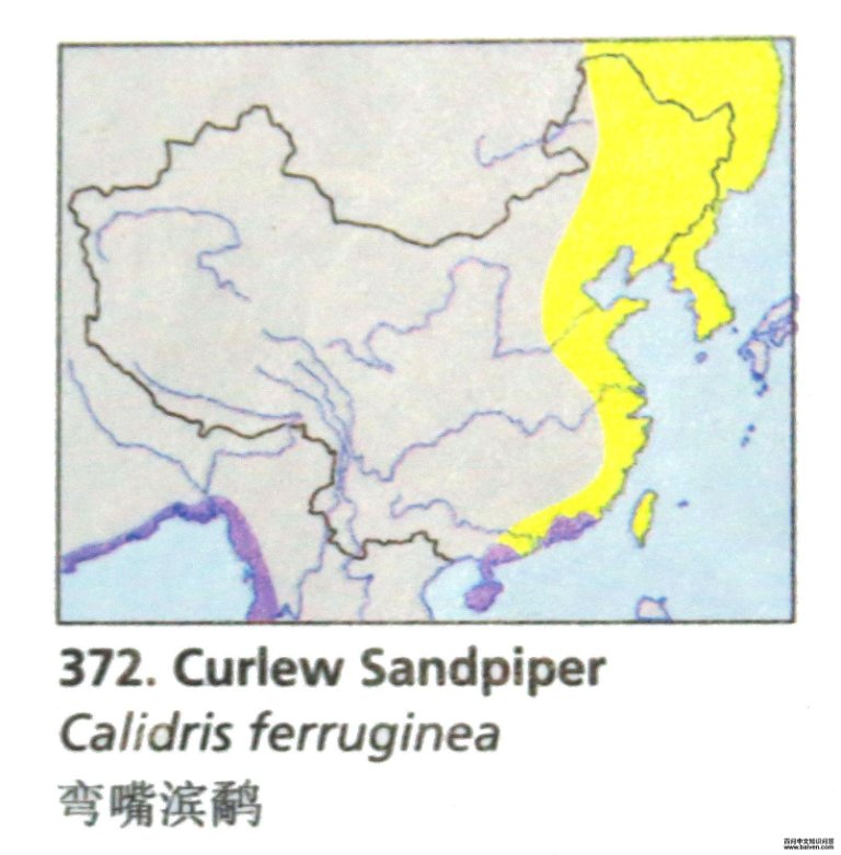 ������ֵĵ����ֲ�ͼ