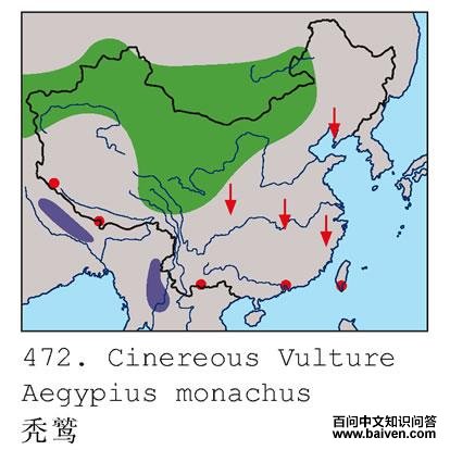 ͺ�յĵ����ֲ�ͼ