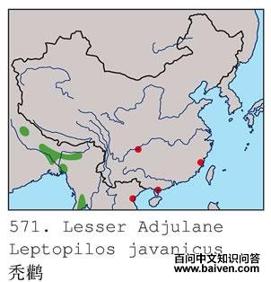 ͺ�ٵĵ����ֲ�ͼ