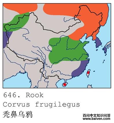 ͺ����ѻ�ĵ����ֲ�ͼ