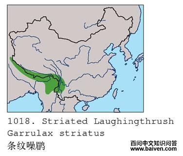 �������̵ĵ����ֲ�ͼ