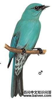 ͭ���l��ͼ��