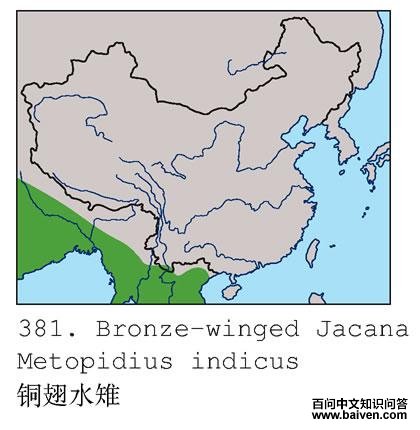 ͭ��ˮ���ĵ����ֲ�ͼ