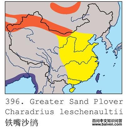 ����ɳ�a�ĵ����ֲ�ͼ