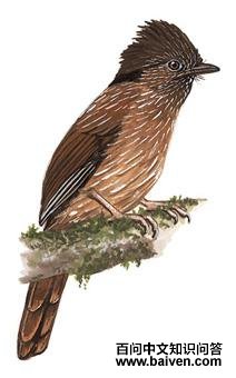 �������̵�ͼ��