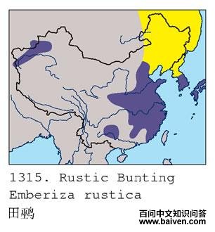 ���c�ĵ����ֲ�ͼ