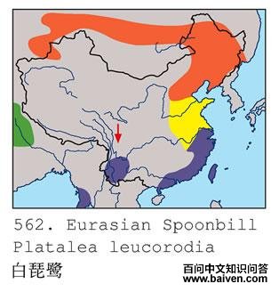 �����صĵ����ֲ�ͼ