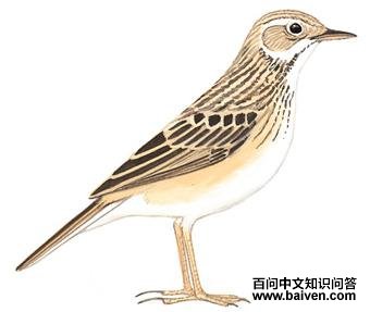 ���ҵ�ͼ��