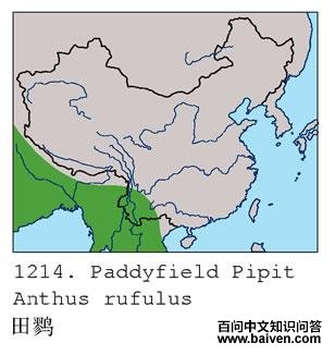 ���ҵĵ����ֲ�ͼ