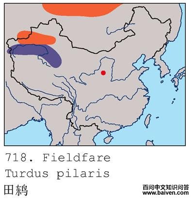 ���ĵ����ֲ�ͼ