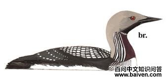 ̫ƽ��Ǳ���ͼ��