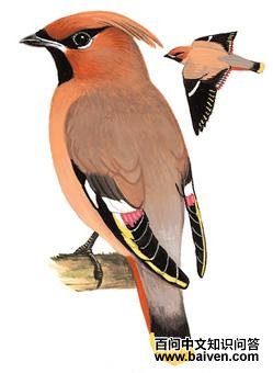 ̫ƽ���ͼ��