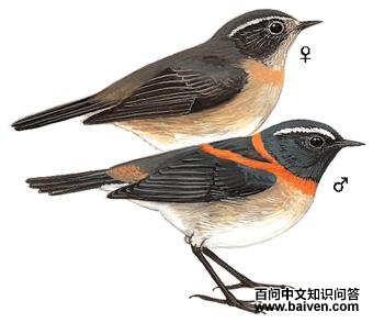 ̨������ͼ��