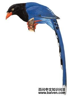 ̨����ȵ��ͼ��