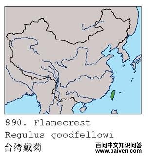 ̨����յĵ����ֲ�ͼ