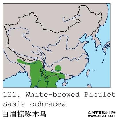 ��ü����ľ��ĵ����ֲ�ͼ