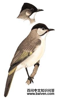 ̨���ǵ�ͼ��