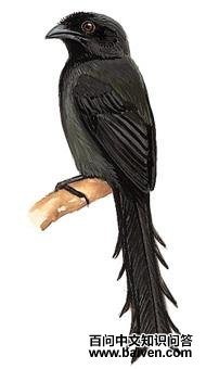 ��β��ȵ��ͼ��