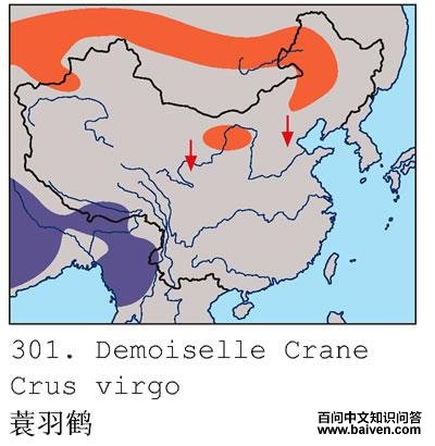 ����׵ĵ����ֲ�ͼ