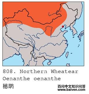 ���S�ĵ����ֲ�ͼ