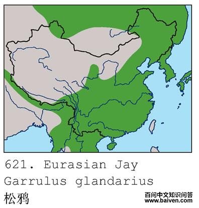 ��ѻ�ĵ����ֲ�ͼ