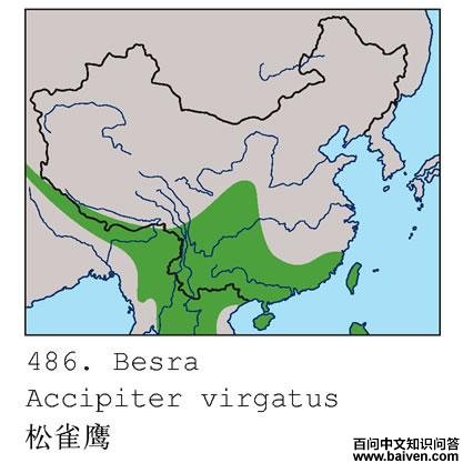 ��ȸӥ�ĵ����ֲ�ͼ