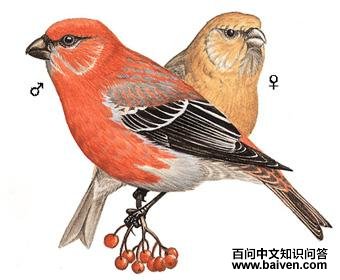 ��ȸ��ͼ��