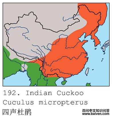 �����ž�ĵ����ֲ�ͼ