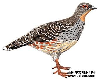 �Ĵ����ȵ�ͼ��