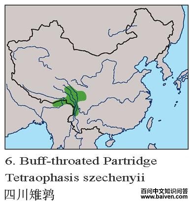 �Ĵ����ȵĵ����ֲ�ͼ