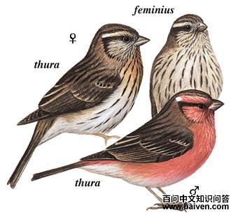 ��ü��ȸ��ͼ��