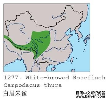 ��ü��ȸ�ĵ����ֲ�ͼ