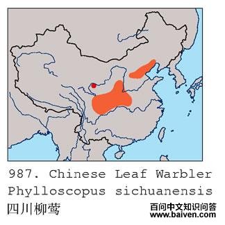 �Ĵ���ݺ�ĵ����ֲ�ͼ