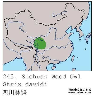 �Ĵ����^�ĵ����ֲ�ͼ