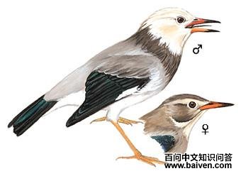 ˿������ͼ��