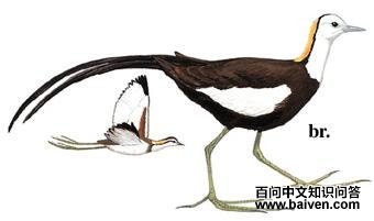 ˮ����ͼ��