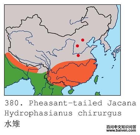 ˮ���ĵ����ֲ�ͼ