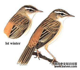 ˮ��έݺ��ͼ��