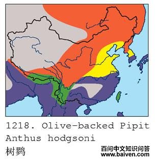 ���ҵĵ����ֲ�ͼ