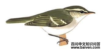 ˫������ݺ��ͼ��