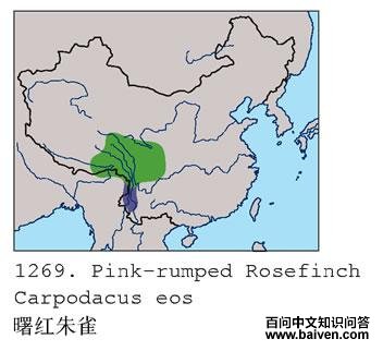 �����ȸ�ĵ����ֲ�ͼ