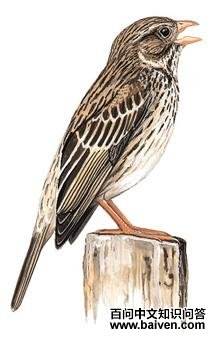 ���c��ͼ��