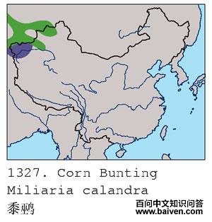 ���c�ĵ����ֲ�ͼ