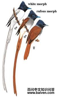 �ٴ�[��]��ͼ��